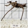 Spiderwood 89