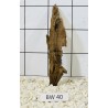 Bogwood 40