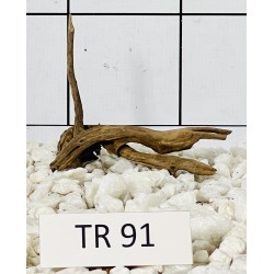 Spiderwood 91