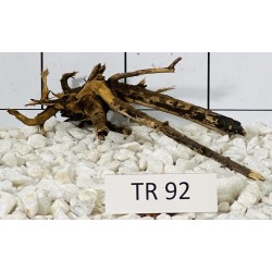 Spiderwood 92