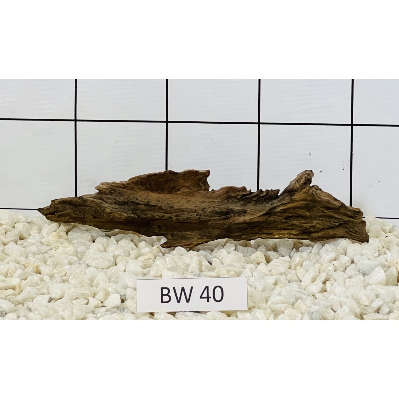 Bogwood 40