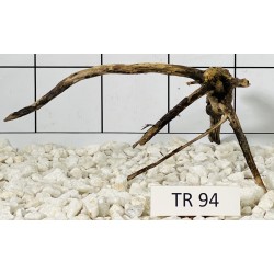 Spiderwood 94