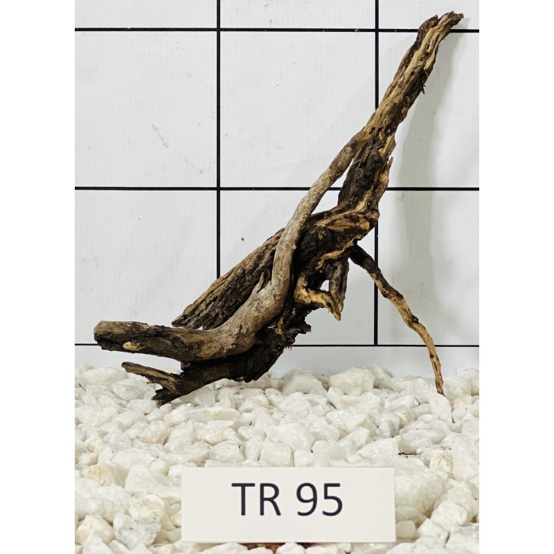 Spiderwood 95