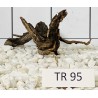 Spiderwood 95