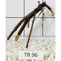Spiderwood 96