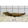 Bogwood 40
