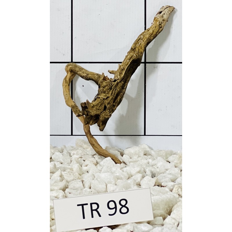Spiderwood 98