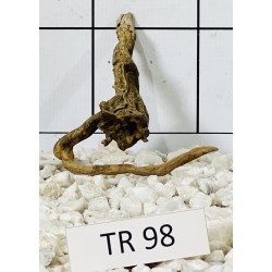 Spiderwood 98