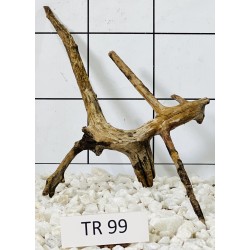 Spiderwood 99