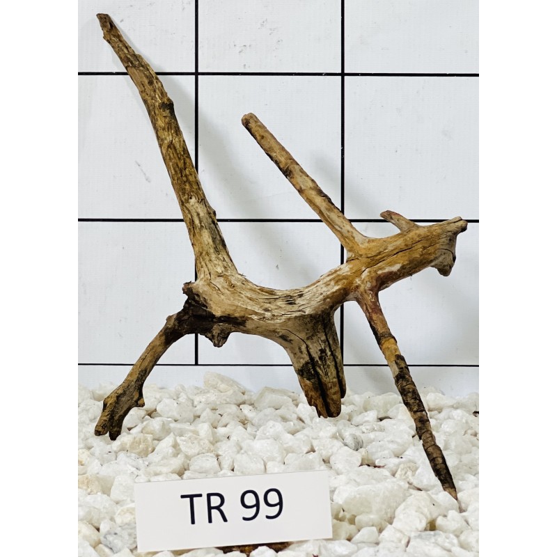 Spiderwood 99