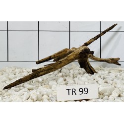 Spiderwood 99