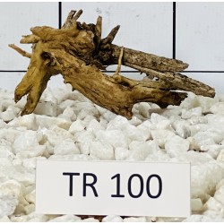 Spiderwood 100