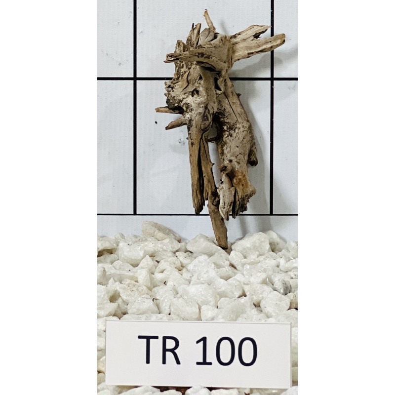 Spiderwood 100