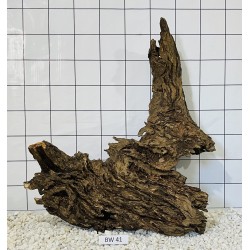 Bogwood 41