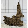 Bogwood 41