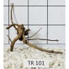 Spiderwood 101