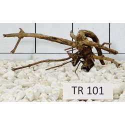 Spiderwood 101