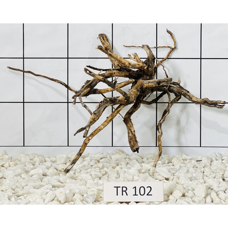 Spiderwood 102