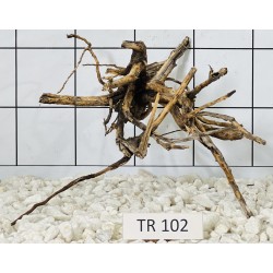 Spiderwood 102