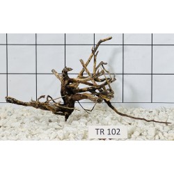 Spiderwood 102