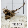 Spiderwood 103