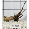 Spiderwood 103