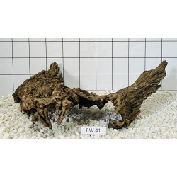 Bogwood 41
