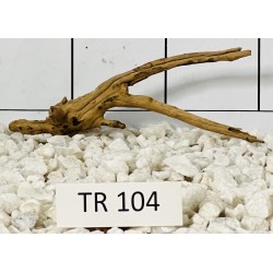 Spiderwood 104