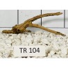 Spiderwood 104