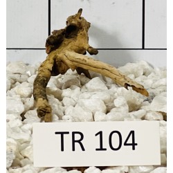 Spiderwood 104