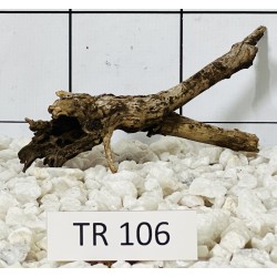 Spiderwood 106