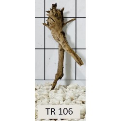 Spiderwood 106