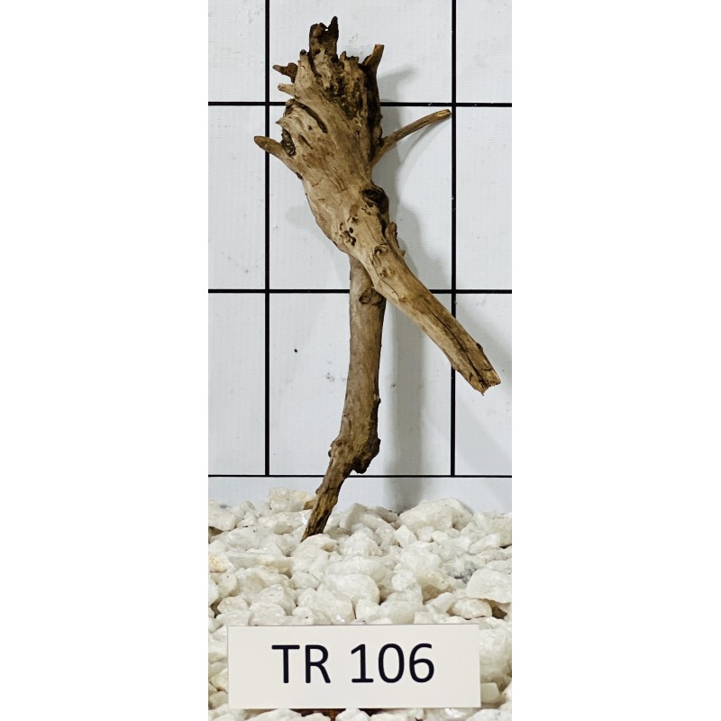 Spiderwood 106