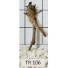 Spiderwood 106