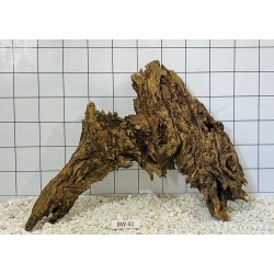 Bogwood 41