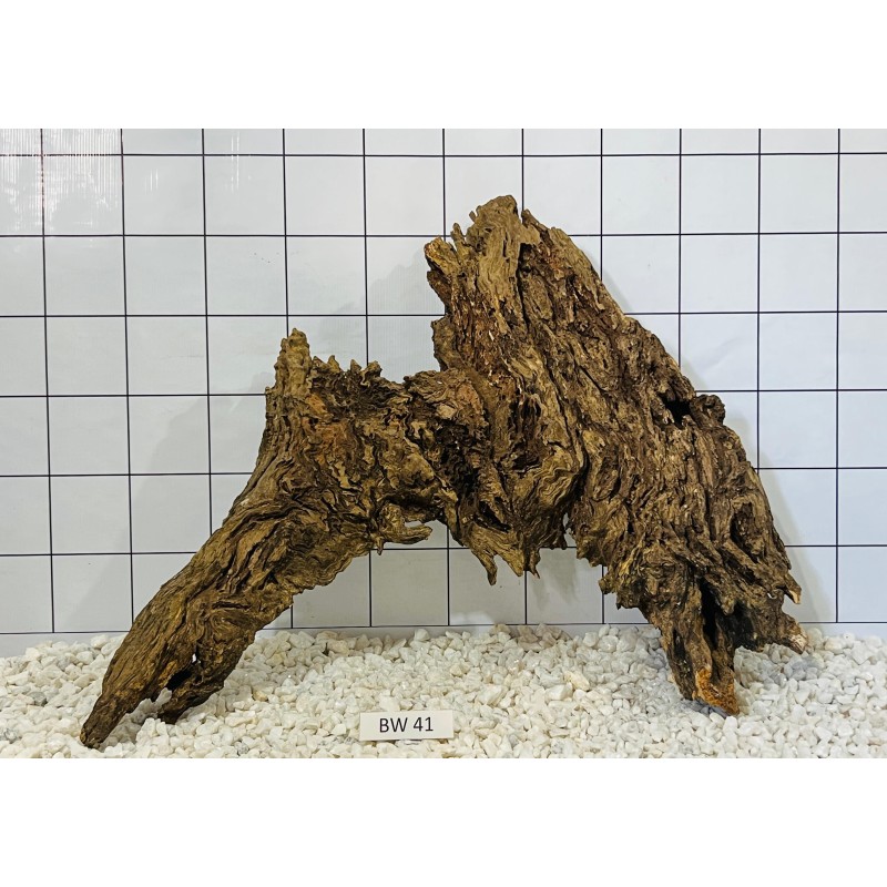 Bogwood 41