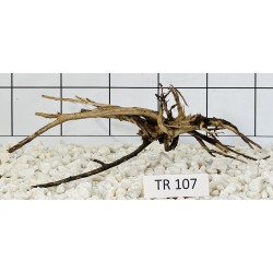 Spiderwood 107