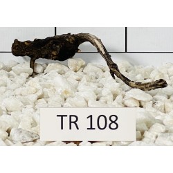 Spiderwood 108