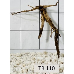 Spiderwood 110