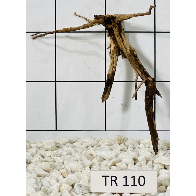 Spiderwood 110