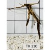 Spiderwood 110