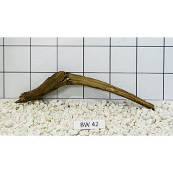 Bogwood 42