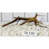 Spiderwood 110