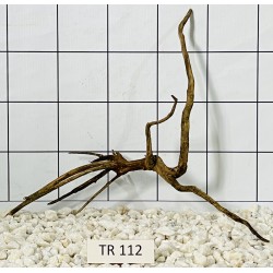 Spiderwood 112