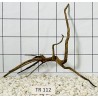 Spiderwood 112