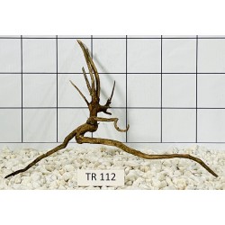 Spiderwood 112