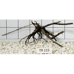Spiderwood 115