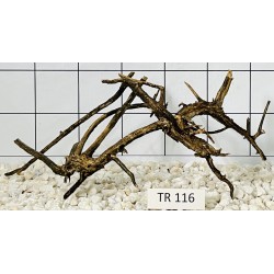 Spiderwood 116