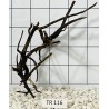 Spiderwood 116