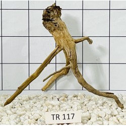 Spiderwood 117